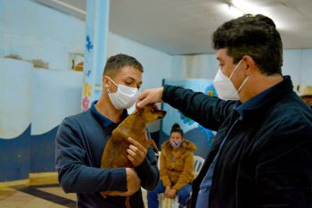 Município de Farol recebe programa de esterilização de cães e gatos, com 115 vagas